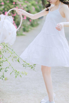 蜂蜜与四叶草电影